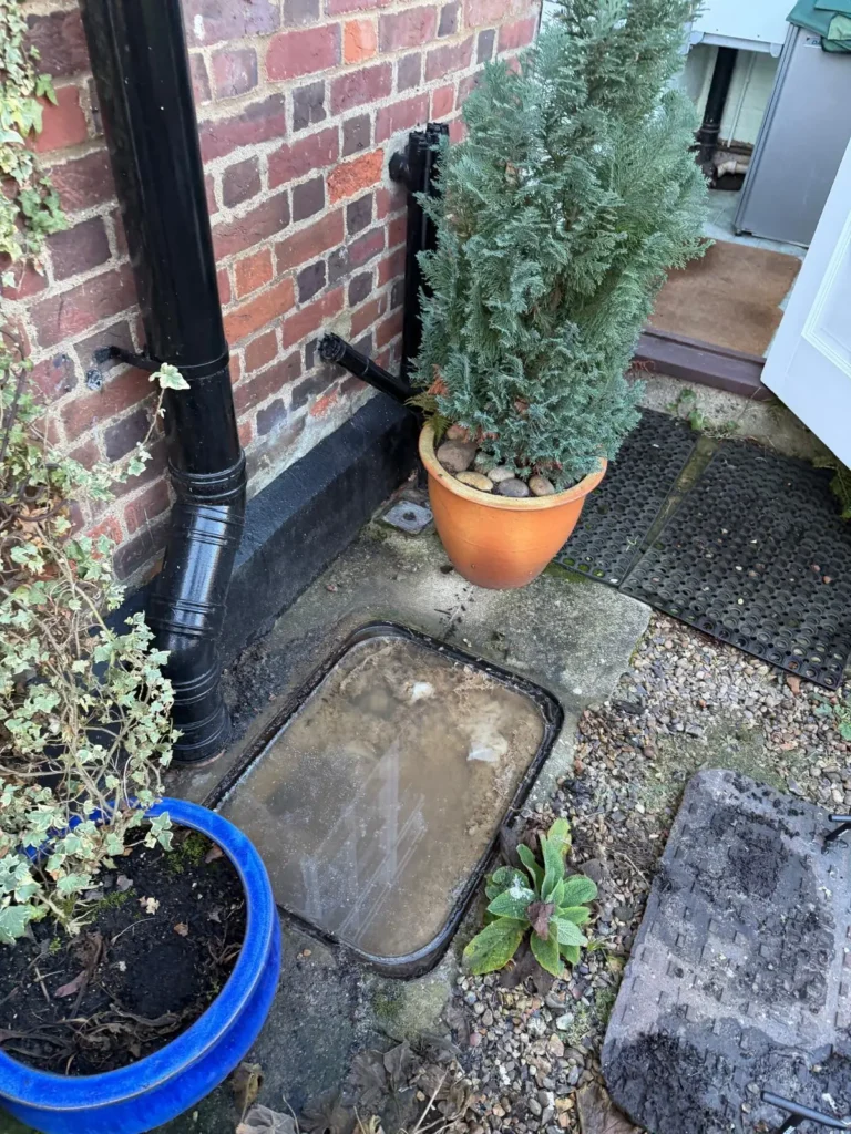 Kitchen drain