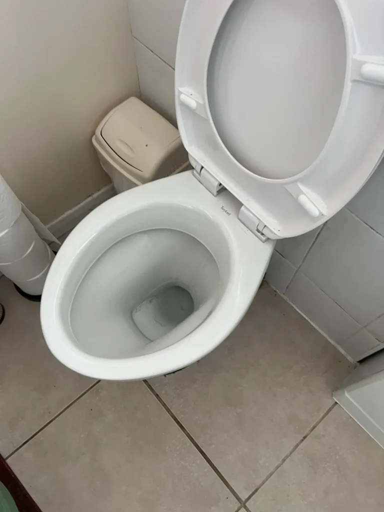 Toilet after being unblocked