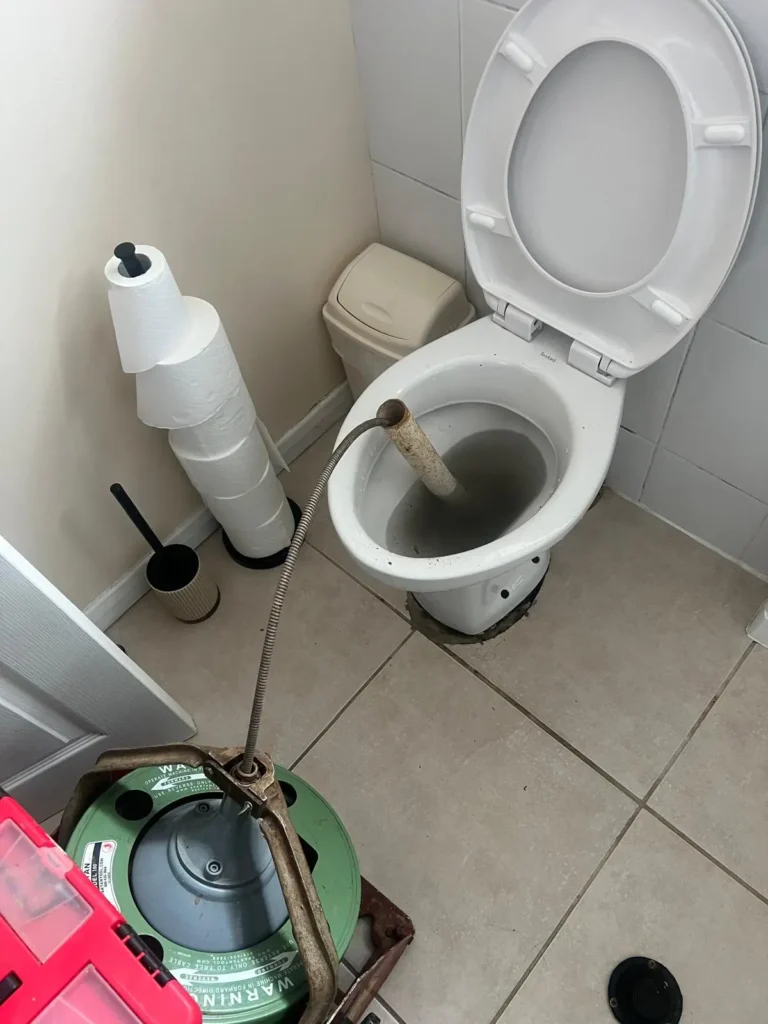 Toilet Unblocking